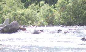 涼を求めて 涼を求めて