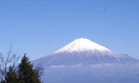 謹賀新年 謹賀新年