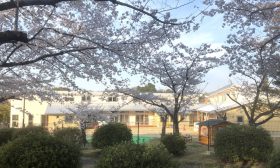 ののかぜ保育園 ののかぜ保育園